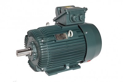 EQP Global® IEC Low Voltage Motor