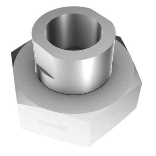 image removebg preview (2)